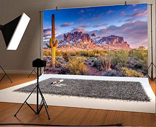 Leyiyi 5x3ft Arazona Mountain Cactus Photography Background Desert Sunset Summit Western American Travel Hiking Desert Flora Cloud Desolate Cowboy Polyester Backdrop Terrarium Background - color: Desert1, size: 5x3ft-P