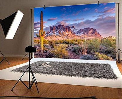 Leyiyi 5x3ft Arazona Mountain Cactus Photography Background Desert Sunset Summit Western American Travel Hiking Desert Flora Cloud Desolate Cowboy Polyester Backdrop Terrarium Background - color: Desert1, size: 5x3ft-P