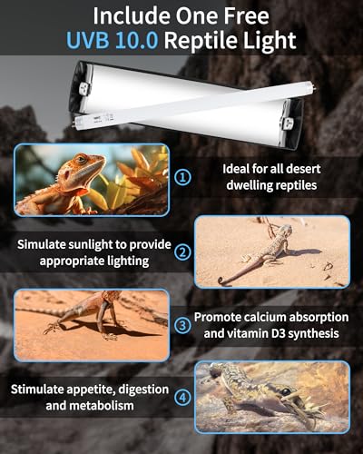 LUCKY HERP T8 Reptile Light Fixture Combo Kit 15W (New Upgrade), UVB Reptile Light Fixture with Desert UVB 10.0 18" Fluorescent Tube, UVA UVB Reptile Light for Lizard, Bearded Dragon, Tortoise - size: 18 Inch