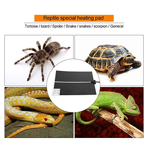 KABASI Reptile Heating Pad with Temperature Control, 14W 11x11inch | Under Tank Terrarium Waterproof Reptile Heat Mat, Adjustable Reptile Heat Mat for Turtle, Tortoise, Snakes, Lizard, Gecko - color: 14W-11x11 in