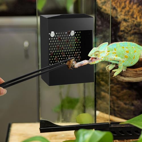 Geyoga Bearded Dragon Feeder with Suction Cups and 2 Tweezers Chameleon Bug Bowl Bug Feeder for Bearded Dragon Acrylic Reptile Feeding Box Tank and Aquarium Accessories for Lizard Gecko Frog(Black) - color: Black