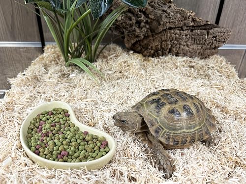 Komodo Complete Holistic Tortoise Diet Fruit and Flower 680 g