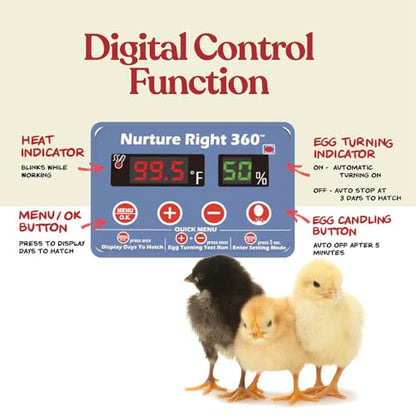 Harris Farms Nurture Right Egg Incubator with Auto Turner, Holds 22 Eggs