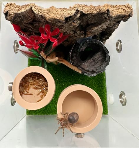 2 Pcs Anti- Escape Jumping Spider Food Bowl with Magnet Water Feeder Bowls Mini Reptile Feeder for Jumping Spider, Gecko etc, Round