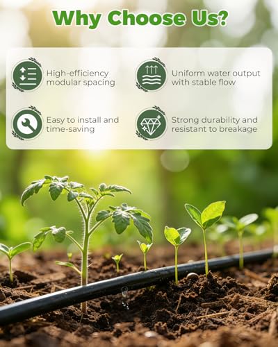 1/4" Drip Irrigation Tubing with 6" Emitter Spacing, (250 Ft Roll) Hydroponics Dripline with Built-in 0.5 GPH Dripper, Saving 80% Water, Drip Line for Garden Beds and Dense Planting Areas (Black) - size: 250FT