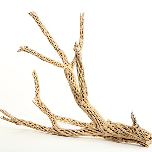 Koyal Wholesale 24" Cholla Wood Aquarium Leopard Gecko Tank Accessories Untreated Large Driftwood for Aquarium Wood Hermit Crab Accessories Drift Wood for Shrimp Tank Gecko Accessories - size: 24-Inch