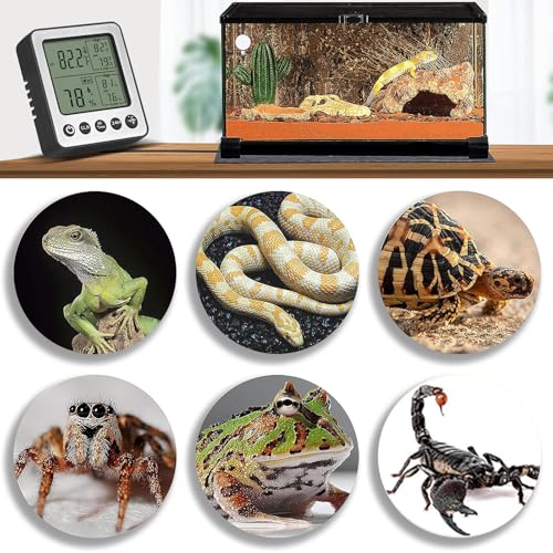 Digital Dual Channel Thermometer Hygrometer, Detachable Temp-Only Probe, 24H & All-Time Min Max Memory Fridge Reptile Tank Wine Cellar Greenhouse Garage Bedroom zz20 White 1 Pack