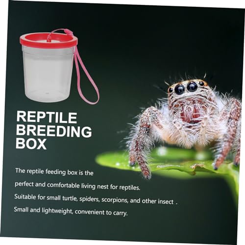 Toddmomy Transparent Reptile Breeding Container for Small Turtles Spiders and Insect Feeding Box with Smooth Surface Lightweight Portable Reptile Raising Cup for Crickets and Random Color