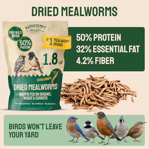Hatortempt 1.8lb Dried Mealworms for Chickens, High Protein Bird Feed | High-Protein Blue Bird Food - Organic Diet Meal Worms - Hand Inspected Treats for Blue Birds, Robin, Ducks - 2 Yr Shelf Life - size: 1.8 Pound (Pack of 1)