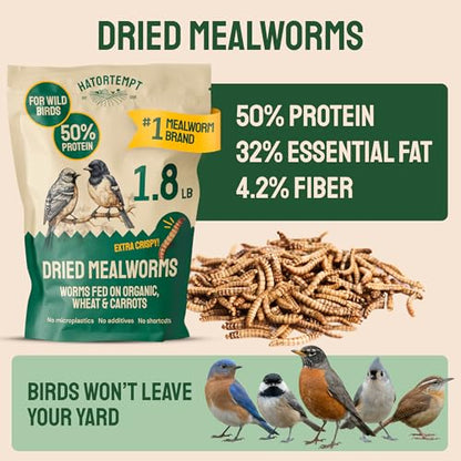 Hatortempt 1.8lb Dried Mealworms for Chickens, High Protein Bird Feed | High-Protein Blue Bird Food - Organic Diet Meal Worms - Hand Inspected Treats for Blue Birds, Robin, Ducks - 2 Yr Shelf Life - size: 1.8 Pound (Pack of 1)