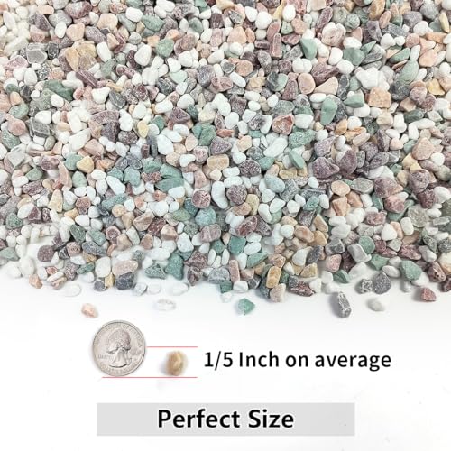 5LB Succulent and Cactus Gravel Pebbles, 1/5 Inch Stones Colorful | Polished Natural Decorative River Rocks for Vases Gardening Indoor and Outdoor Decorative Rocks - color: Colorful, size: 5 Pounds
