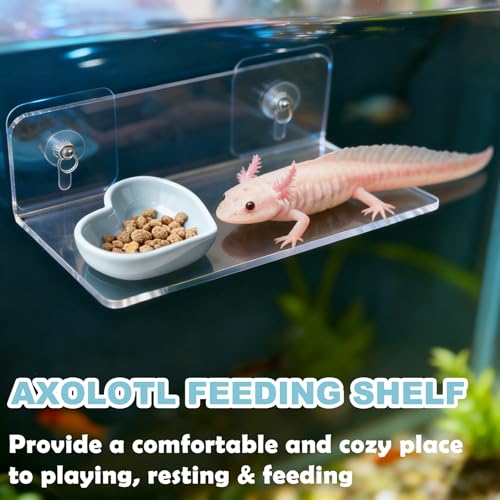Axolotl Feeding Shelf with Feeder Bowl, Axolotl Hammock for Aquarium with Feeding Tray, Axolotl Tank Accessories for Bearded Dragons, Geckos, Lizards, Hamsters, Crabs - color: Feeding Shelf with Blue Feeder Bowl
