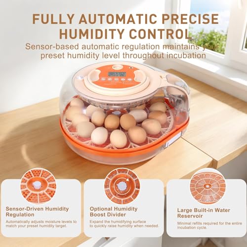 Series V-Fully Automatic 26 Egg Incubator, Spill-Proof Bottle-Free Water System, Precise Sensor-Based Humidity & Temp Control, Adjustable Auto Egg Turn, Preset Incubation Days (26-Egg-Orange) - size: 26-Egg-Orange