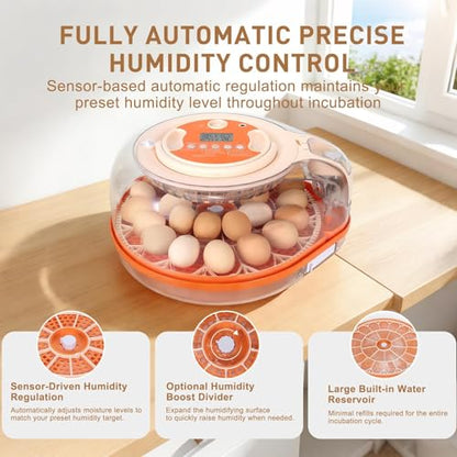 Series V-Fully Automatic 26 Egg Incubator, Spill-Proof Bottle-Free Water System, Precise Sensor-Based Humidity & Temp Control, Adjustable Auto Egg Turn, Preset Incubation Days (26-Egg-Orange) - size: 26-Egg-Orange