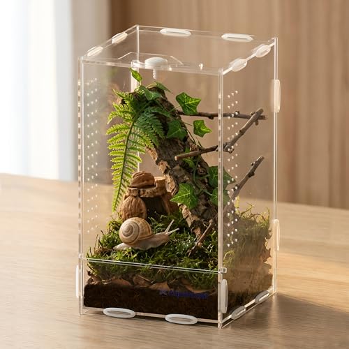 Acrylic Jumping Spider Enclosure, 4.3 x 4.7 x 7.8 in Clear Terrarium | Front opening ventilated habitat for jumping spiders, small spiders and slow-moving invertebrates; clear acrylic display. - size: 4.33 x 4.72 x 7.87 inches（11x12x20cm）