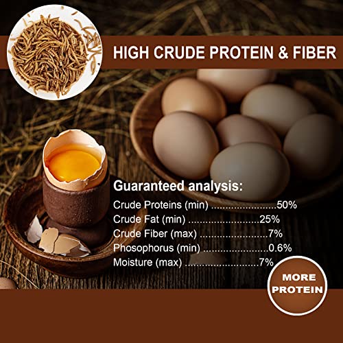 Non-GMO High-Protein Large Dried Mealworms for Chickens, Natural Grubs and Poultry Treats as Chicken Feed,Duck Food, Wild Birds Seed,Fish Food,Reptile Food,Amphibian Food(Mealworms-22LB)