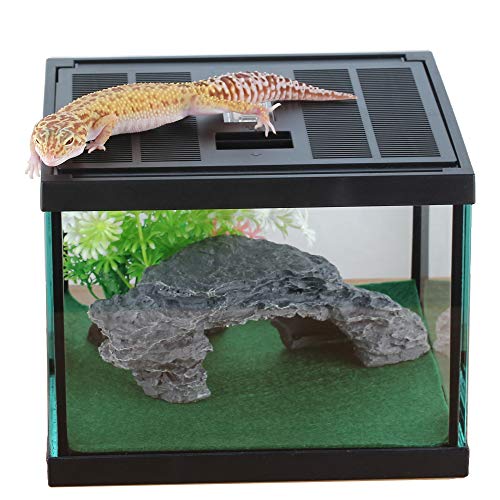 Glass Lizard Tank, Spider Box Kit, 7.8x7.8x5.9'' Tarantula Feeder Insects Beetle Habitat, Amphibians Terrarium for Small Pet, with Washable Mat, Resin Rock Shape Hideout, Artificial Flower | 1.55 US Gal For Baby Gecko And Small Insects, Vented Lockable Li