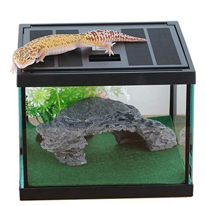 Glass Lizard Tank, Spider Box Kit, 7.8x7.8x5.9'' Tarantula Feeder Insects Beetle Habitat, Amphibians Terrarium for Small Pet, with Washable Mat, Resin Rock Shape Hideout, Artificial Flower | 1.55 US Gal For Baby Gecko And Small Insects, Vented Lockable Li