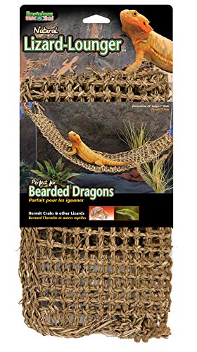 PENN-PLAX Reptology Lizard Lounger – 100% Natural Seagrass Fiber – Great for Bearded Dragons, Anoles, Geckos, and Other Reptiles – Extra Large - size: X-Large (Pack of 1)