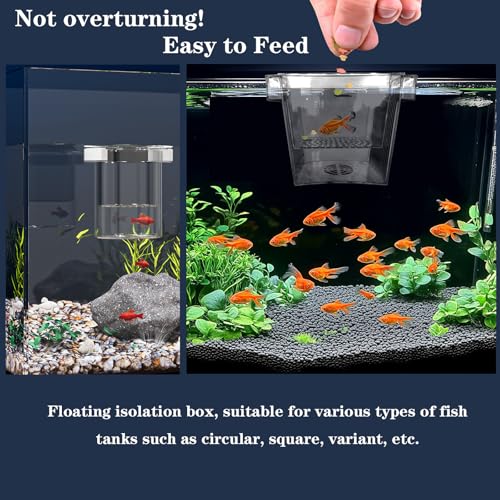 WEAVERBIRD Aquarium Fish Breeder Box, Acrylic Square Isolation Hatchery | Fish Isolation Breeding, Hatching Incubator, For Baby Fish Shrimp Clownfish Guppy - size: Square