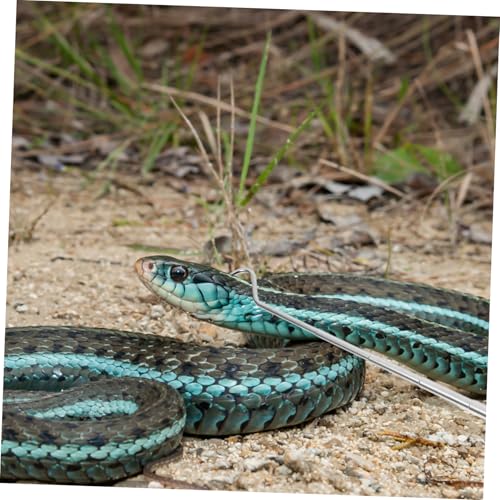 Stainless Steel Retractable Reptile Hook Professional Snake Catcher Tool for Safe Handling of Reptiles Lightweight and Portable for Snake Enthusiasts and Outdoor Adventures