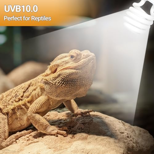 100W Reptile Heat Lamp Blub and 26W 10.0 UVB Reptile Light Combo Pack, Basking Spot Light UVA Heat Lamp Bulb and 26W Energy Saving UVB UVA Light for Reptiles Bearded Dragon,Turtles,Lizard
