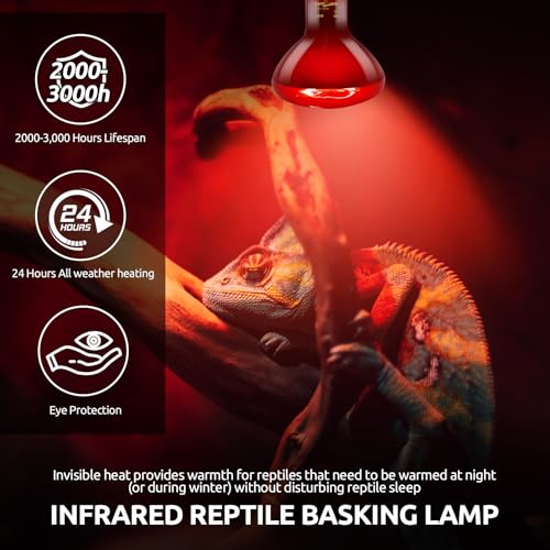 REPTI ZOO 150W Reptile Heat Lamp Bulb Combo – Day & Night Basking Light Set, 2 Pack Frosted UVA Spot Bulb + Infrared Heat Lamp, No-Disturb Nighttime Warmth for Bearded Dragon, Tortoise, Snake, Lizard