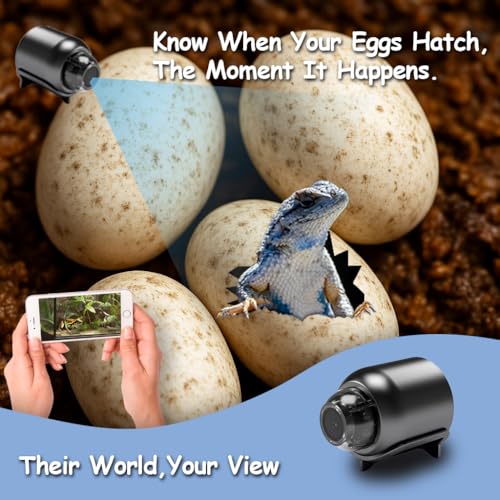 Mini WiFi Monitoring Camera for Reptile Habitats, Hatchling Care, Terrariums and Incubation Enclosures – Compact Design with Wireless WiFi Connection and Motion Alerts