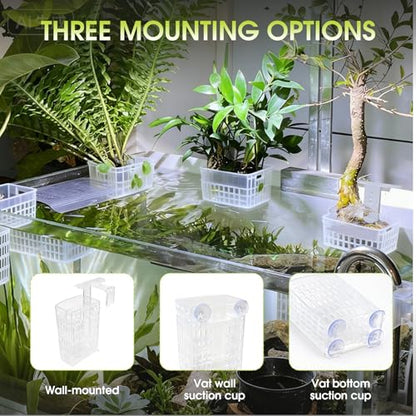 2-Pack Adjustable Aquarium Plant Holders with Hooks and Suction Cups | Adjustable Height and Thickness, Includes 2 Extension Hooks and 2 Suction Cups for Fish Tanks and Aquaponic Growing, Clear - color: Clear