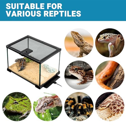 Reptile Heat Pad with Dimming Thermostat, 6" X 8" 8W Heating Pad Combo Set for 10-20 Gallon Reptile Tank, Under Tank Heater for Reptiles, Turtle, Snake, Lizard, Hermit Crab, Frogs, Seed - size: 8W