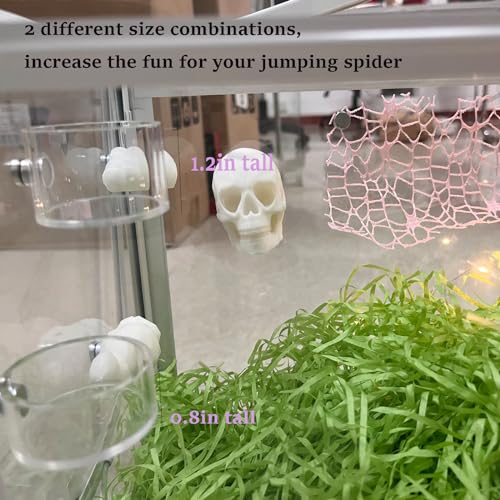 2Pcs Jumping Spider Feeding Dish, Magnetic Tiny Food Dishes Water Dish for Jumping Spider, Tarantula and Other Small Pets,Transparent - size: Multiple