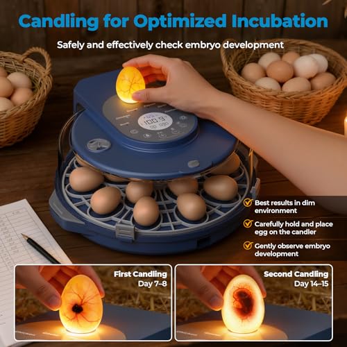 Egg Incubator for Hatching Eggs, 5 Preset Incubation Modes & 1 Custom Mode | Hatch 15 Eggs, Temperature and Humidity Adjustable Function, Automatic Egg Turning for Duck, Chicken, Goose, Pigeon and Quail