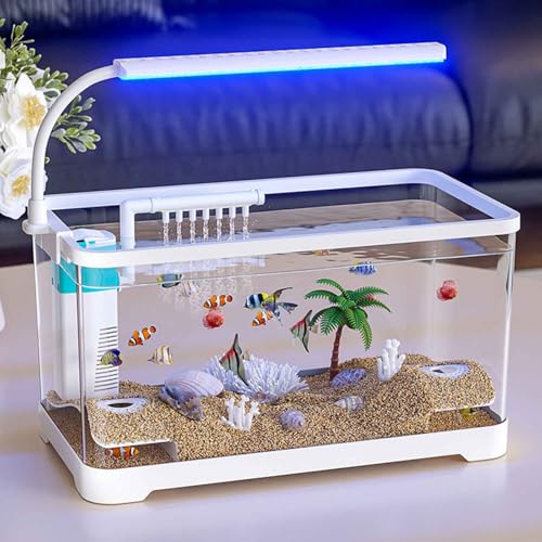 Aquarium Starter Kits, Desktop Small Acrylic Fish Tank,Silent & Self Cleaning Aquarium Tank, Modern Compact Transparent Tank for Betta Shrimp Goldfis-h(Small) - color: Small