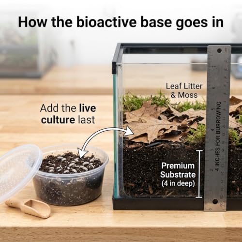Pacman Frog Bioactive Kit - 9qt Premium Bioactive Substrate + 2qt Leaf Litter + 4qt Sphagnum + Charcoal Iso-Flats Hide + 3oz Calcium + 25 Dwarf White Isopods + 8oz Tropical Springtails