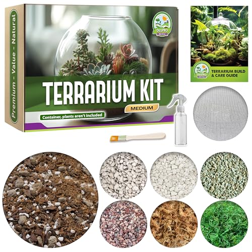 All-in-One DIY Terrarium Starter Kit for Air Plant & Succulent | Includes Potting Soil, Pumice, Zeolite, Green Moss, Sphagnum Moss, Decorative Stone, Mesh, Tools & Guide - size: Terrarium Kit