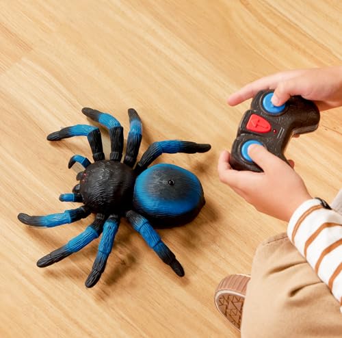 Terra by Battat Remote Control Spider, LED Eyes, 360 Spin, Blue, Animals | RC tarantula toy with moving legs, LED eyes, blue stripes, and 1 remote control for creature-inspired play, Animals, 6+ Years - style: Spider (Blue)