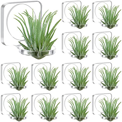 Jetec 12 Pcs Acrylic Air Plants Holder Hanger Air Plant Live Holders with Mounting Tape for Hanging Plants Glass Display Home Office Decoration