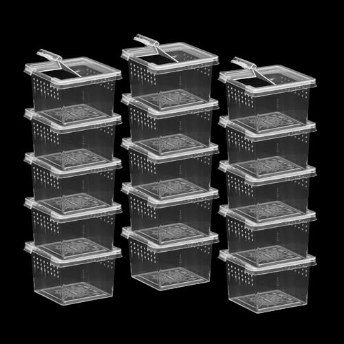15 PCS Spider Terrariums Breeding Box, Small Insect Hatching Container Plastic Feeding Box for Small Reptiles Jumping Spider Scorpion Centipede Insect