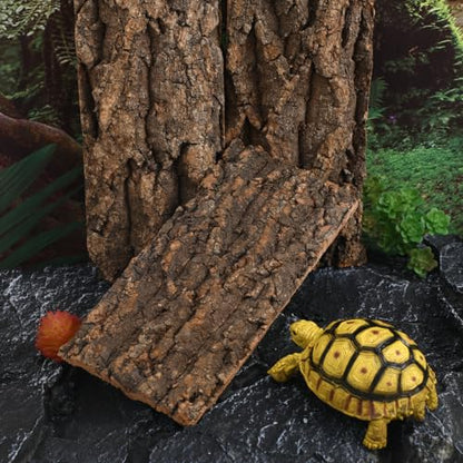 DOITOOL 3 Pcs Natural Cork Bark Aquarium Decor Reptile Tank Background Indoor Terrarium Decoration
