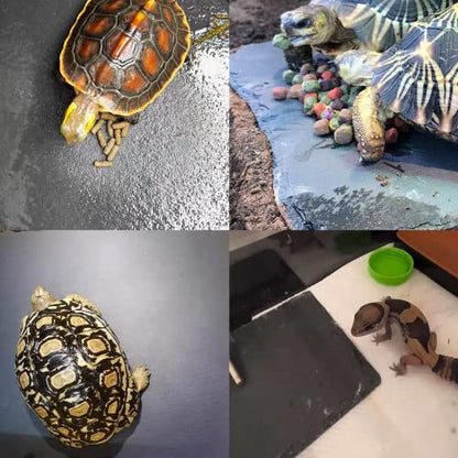 Tfwadmx Reptile Basking Platform Tortoise Feeding Dish Natural Rock Food Bowl Landscape Habitat Decor for Turtle Lizard Bearded Dragon Crested Gecko Snake 2Pcs - size: 2pcs-12"x6"