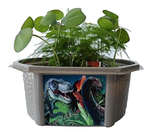 Toys by Nature Biosphere Terrarium Starter Kit, Complete Supplies Included to Grow Your Own Prehistoric Jurassic Park (Dinosaur Domain) - style: Dinosaur Domain