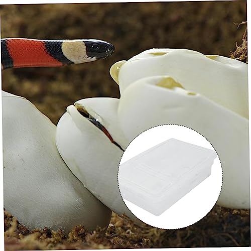 BESPORTBLE 20Grids Plastic Hatching Incubation Box for Reptiles Durable Container for Lizard Eggs Snake Incubators Gecko Egg Hatching Lightweight Design for Easy Use Storage
