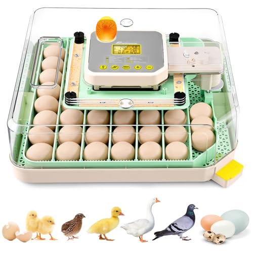Sailnovo 48 Egg Incubator for Hatching Eggs with Auto Egg Turning, Precise Temp & Humidity Control, 360°Viewing, Egg Candler, Incubator for Chicken Eggs/Duck/Quail,Ideal for Farm/School/Lab,Green | Precise Temp & Humidity Control，Auto Egg Turning, 360°Vie
