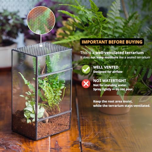 NCYP Glass Terrarium with Door and Mesh for Small Insects - 5.1 x 3.9 x 9 Inches Rectangle Reptile Habitat, Black - Modern Home Tabletop Decor (Terrarium Only)