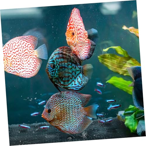 20 Pcs Aquarium Undergravel : Fish-Tank Divider, Aquarium Bottom Plate - PVC Splicing Clapboard (Black) - size: 20pcs