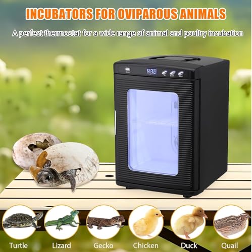 25L Reptile Egg Incubator with Cooling & Heating - Portable Scientific Lab Incubator, 10°c-60°c Temperature Control, 12V/110V Digital Incubator for Small Reptiles Hatching,Black - color: Black