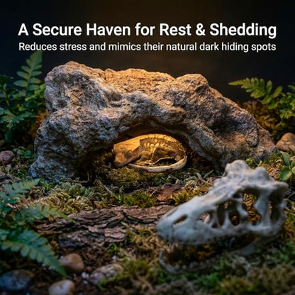 Anxingo Reptile Rock Reptile Cave Hideout for Snakes/Geckos/Lizards/Turtles and Other Amphibians, with Dinosaur Skull (Medium) - size: M