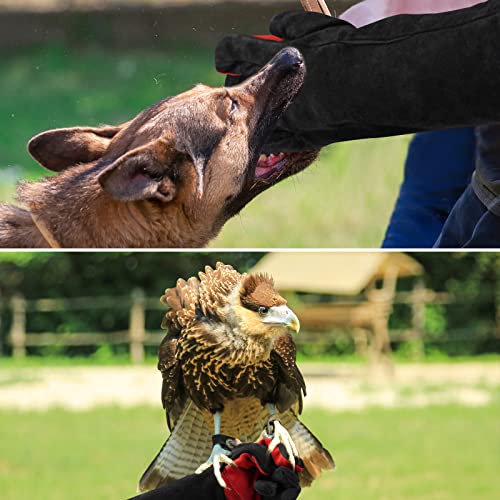 AOWPFVV Animal Handling Gloves Bite Proof for Dog,Cat,Snake,Bird,Falcon - color: Black Red Size Large 16in