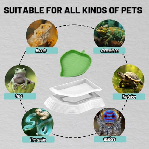 4 Pcs Turtle Water Basin with Ramp, Reptile Pool and Water Bowl Set,Turtle Bathing Pool with Leaf Food Basins and Tweezers,Turtles Soaking Tray,Aquarium Waters Tray for Amphibia