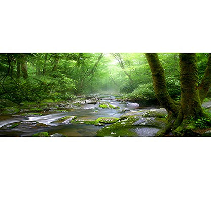 30x12 Inches Rainforest Terrarium Background - Deep Forest Tank Aquarium, Sunny Stream, Stones, Trees, Grass, Tropical Plants - Reptile Habitat, Durable Polyester - size: 30x12in-P